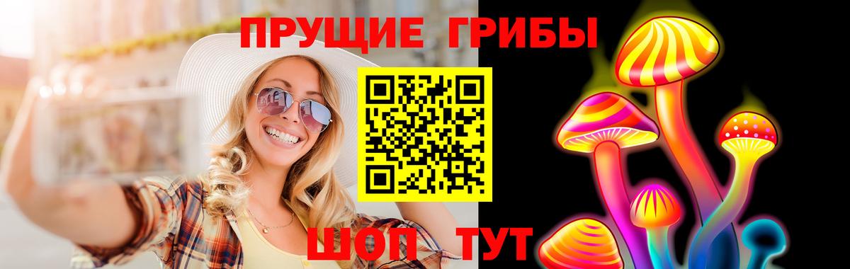 Стерлитамак  Псилоцибиновые грибы Psilocybine cubensis  Вход с VPN 